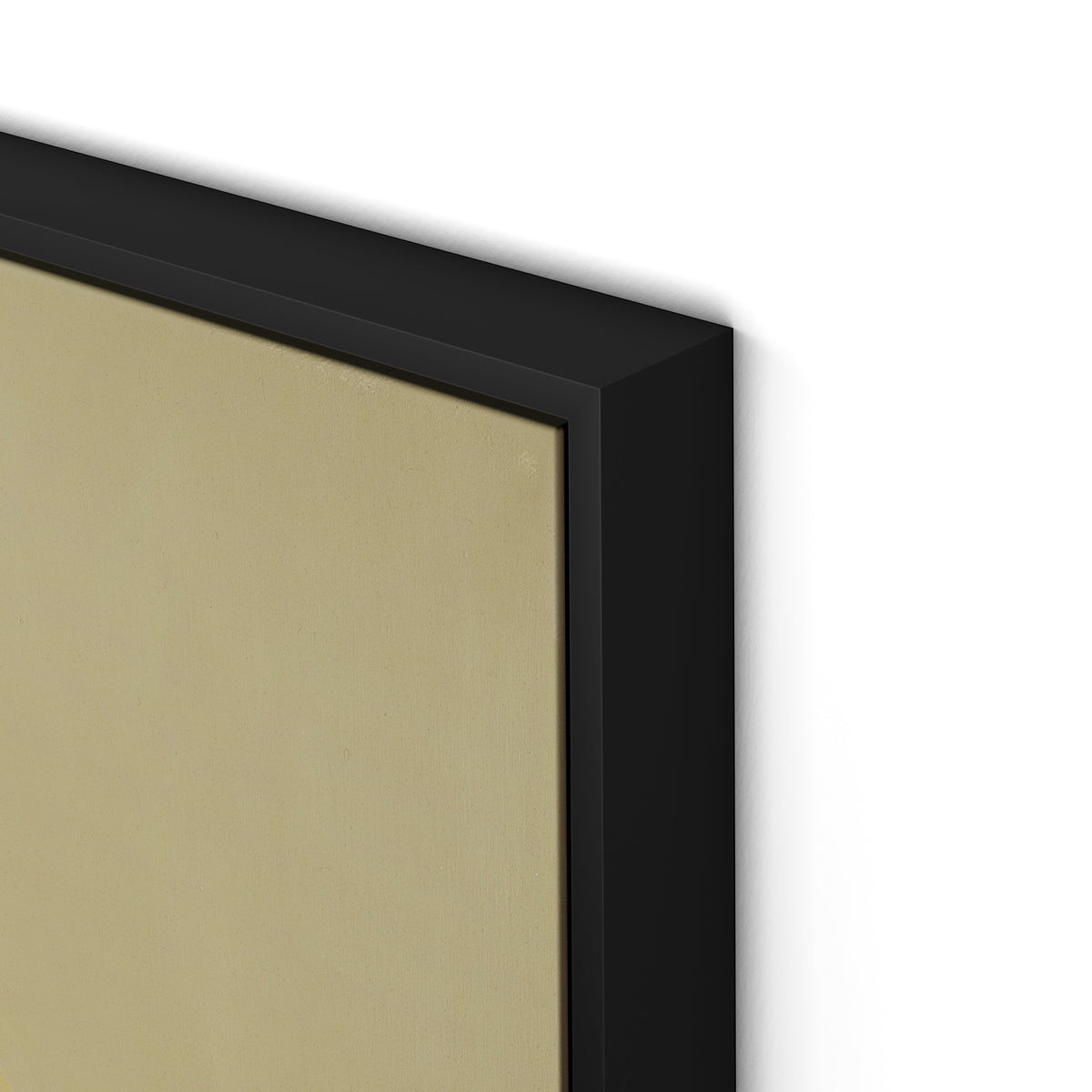 Evergreen II Canvas Floater Framed / 24 x 32 in / Black