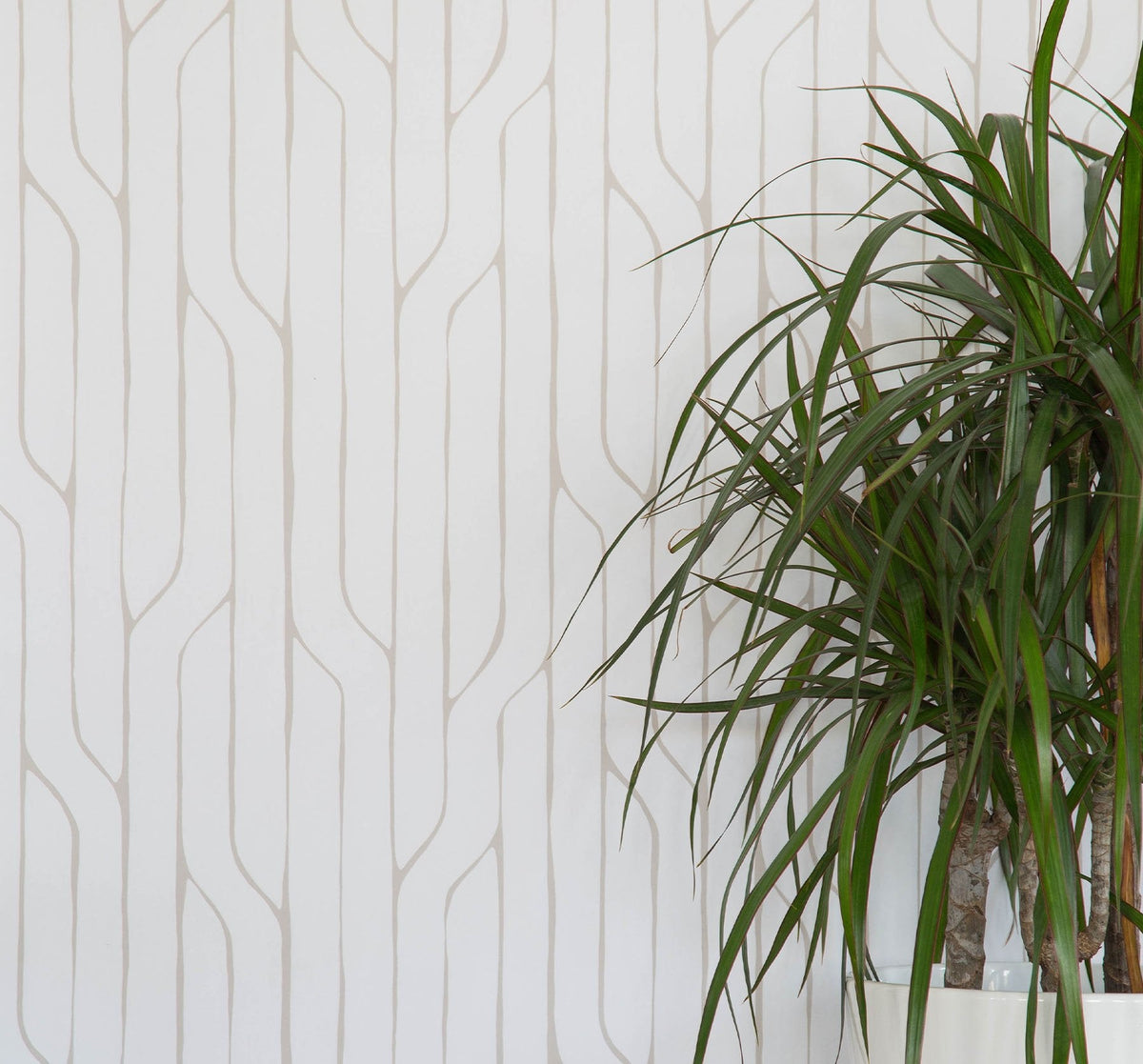 Image of Crossing Lines in White Wallpaper