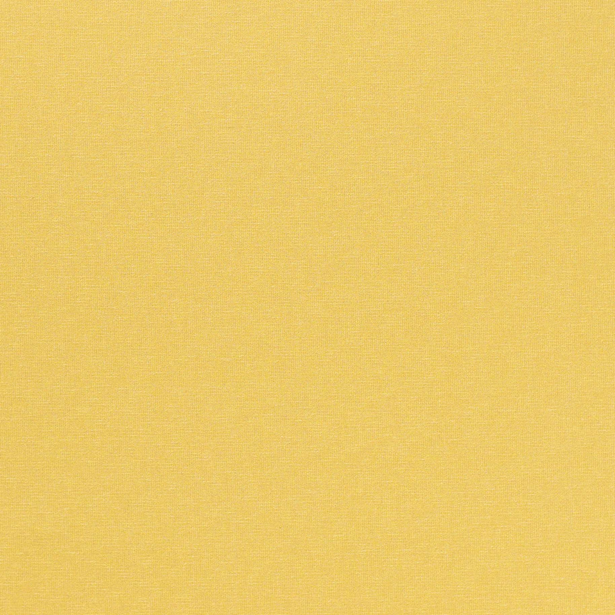 Image of Golden Glow in Golden Glow Wallpaper