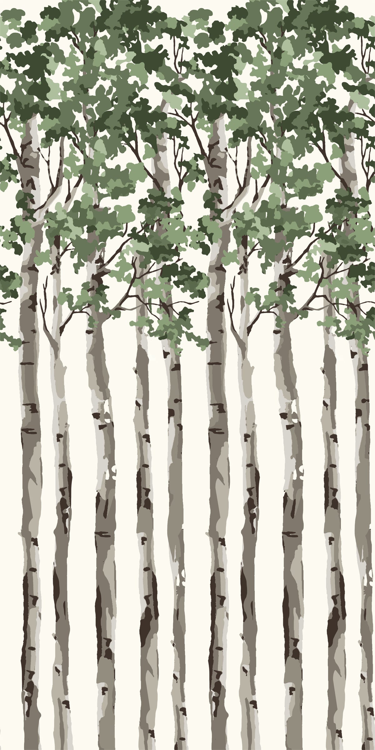 Image of Birch Tree in Green Wallpaper