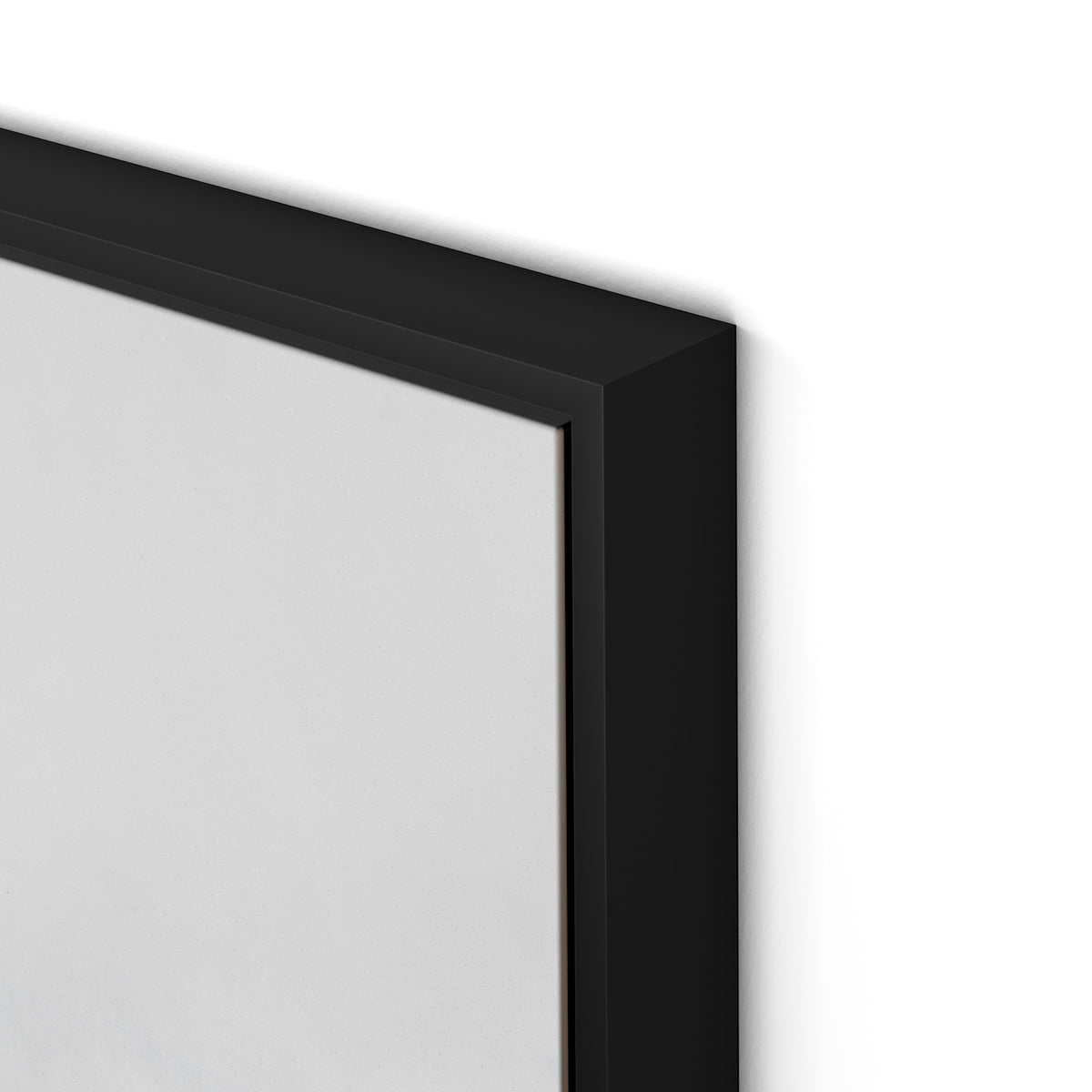 Dream Canvas Floater Framed / 32 x 22 in / Black