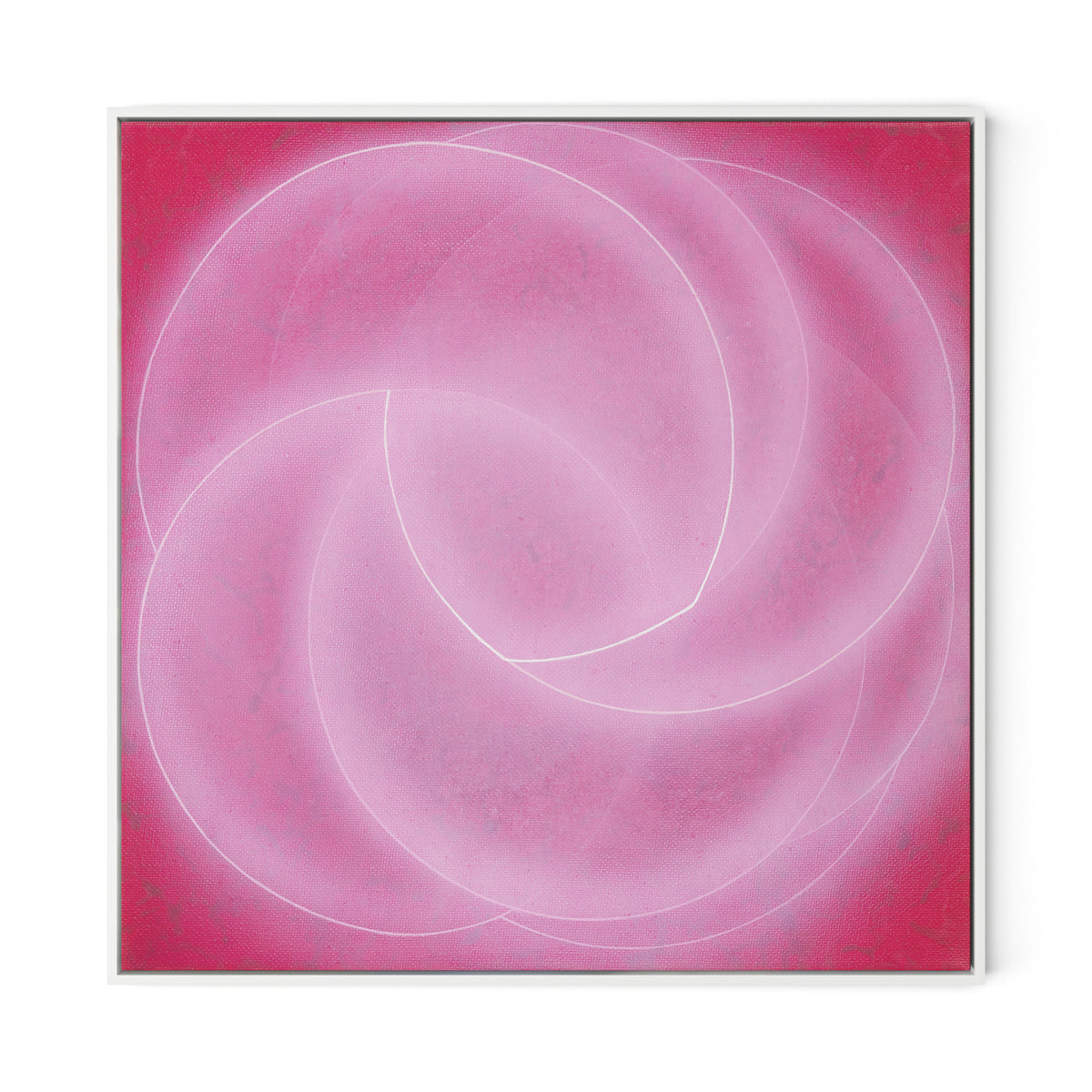 Rose II Canvas Floater Framed / 32 x 32 in / White
