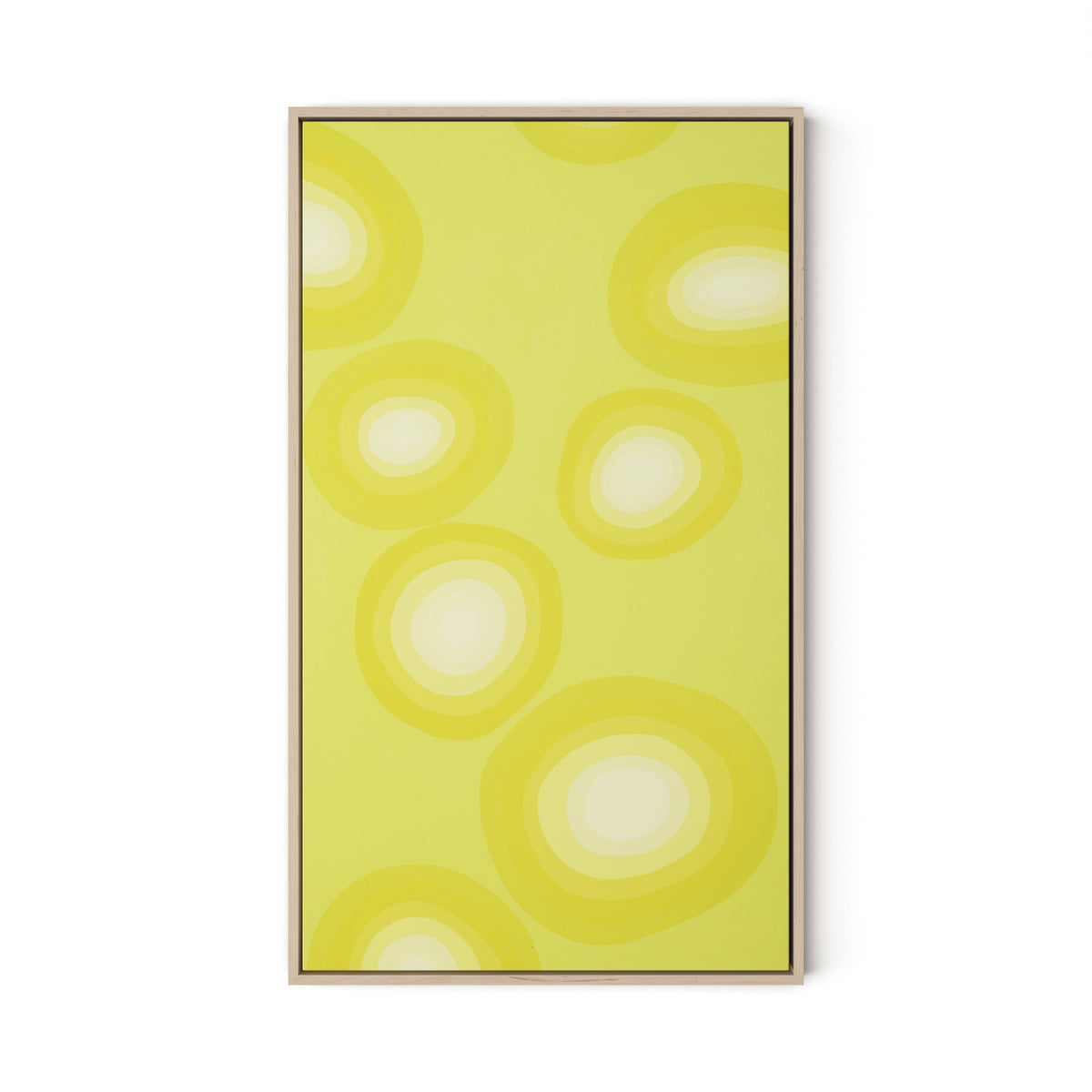 Citrus Rounds Canvas Floater Framed / 19 x 32 in / Natural Maple