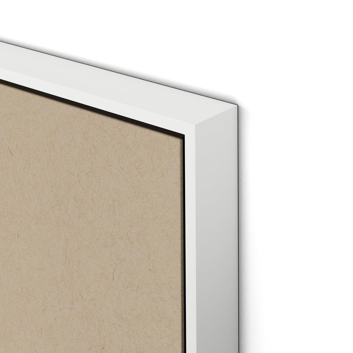 Botanical V Canvas Floater Framed / 24 x 32 in / White