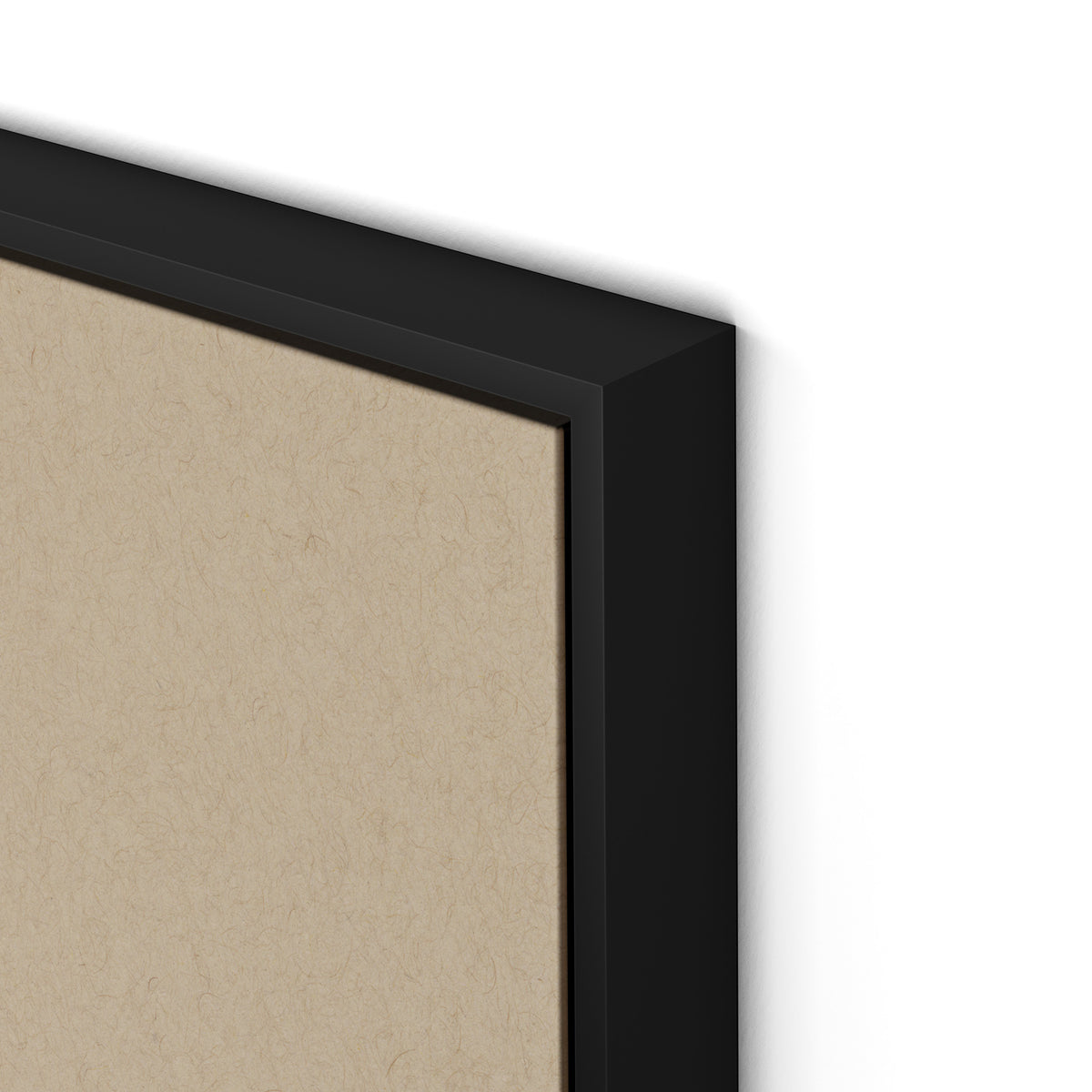 Botanical II Canvas Floater Framed / 24 x 32 in / Black
