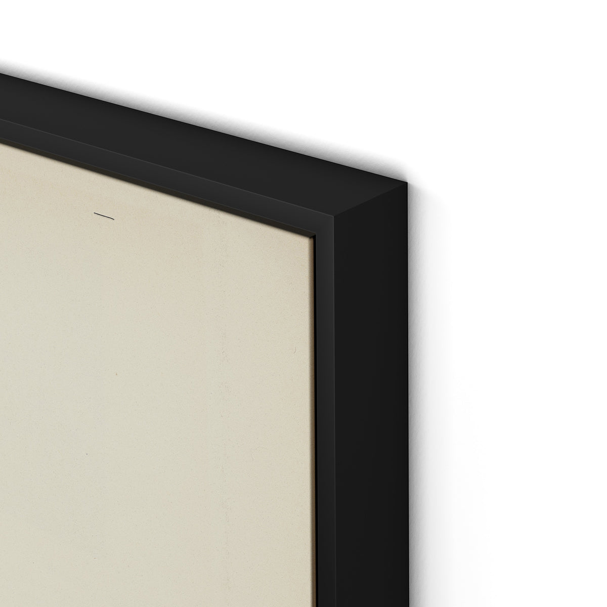 Marguerite Bleue Canvas Floater Framed / 24 x 32 in / Black
