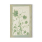 Sage Meadow Rue Canvas Floater Framed / 21.5 x 32 in / White