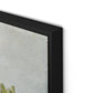 Protea Still Life Canvas Floater Framed / 26 x 32 in / Black