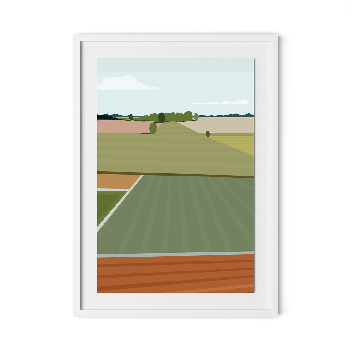 Fields