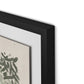Prayers Under the Olive Tree Framed Paper / 32 x 21 in / Black