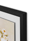 Chorus of Daisies Framed Paper / 32 x 24 in / Black