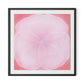 Wild Rose Framed Paper / 32 x 32 in / Black