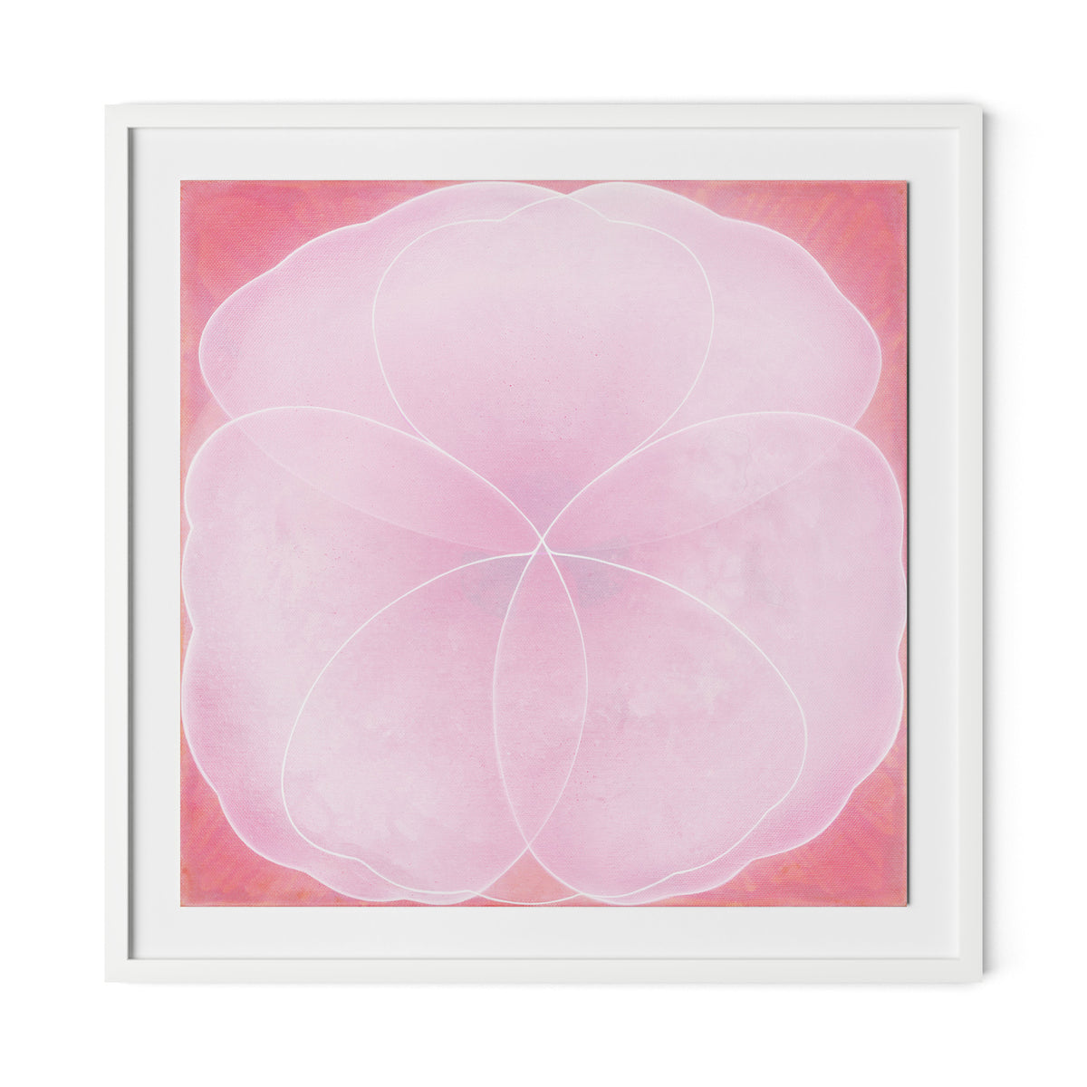 Wild Rose Framed Paper / 32 x 32 in / White