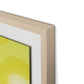 Citrus Rounds Framed Paper / 20.5 x 32 in / Natural Maple