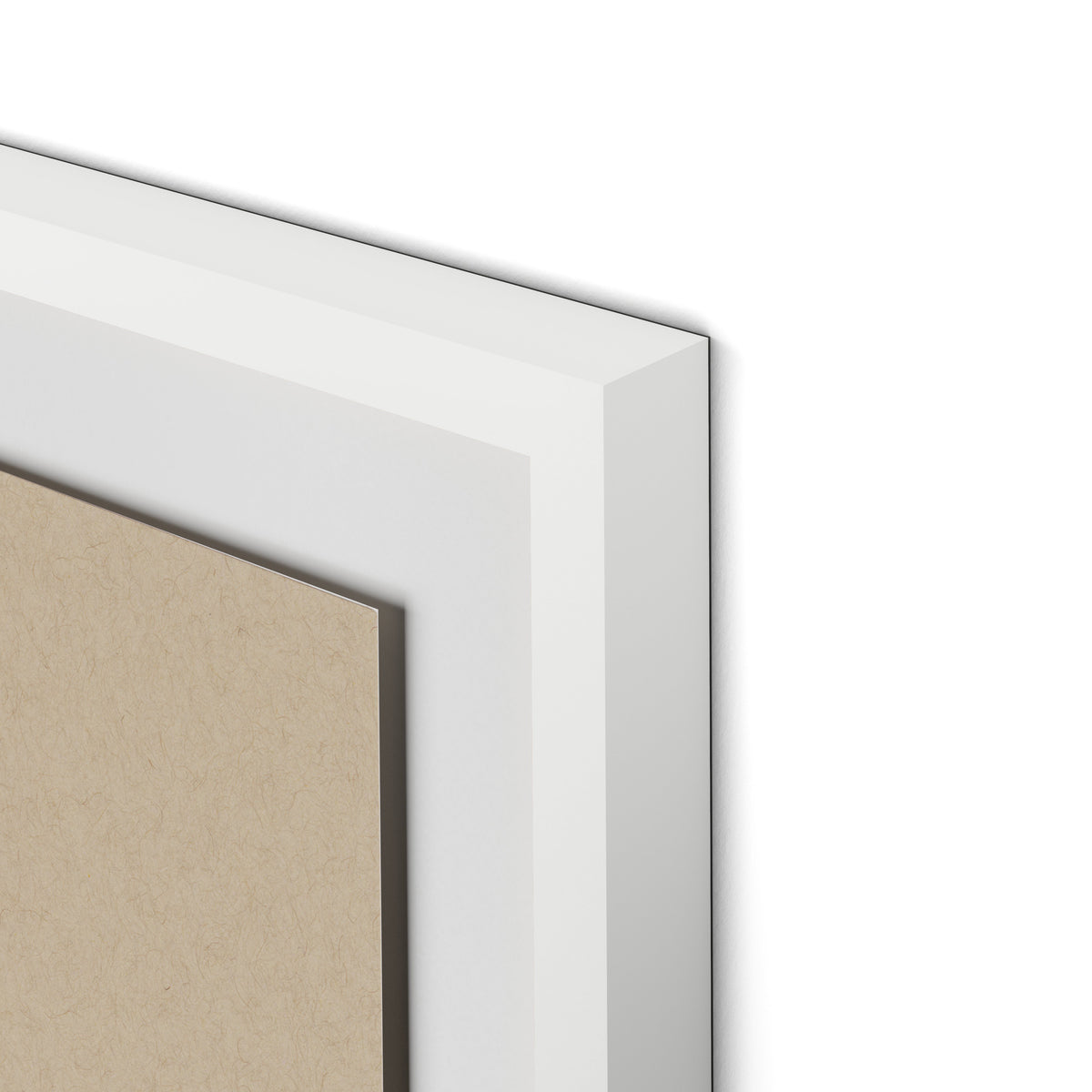 Botanical I Framed Paper / 24 x 32 in / White