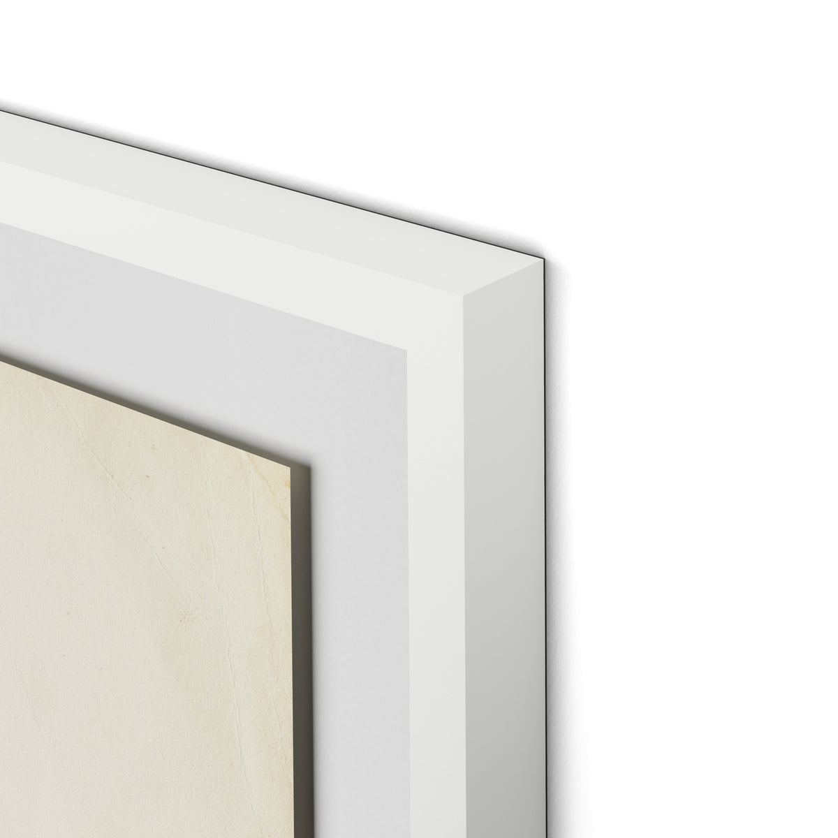 Meadow Rue 2 Framed Paper / 24 x 32 in / White