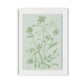 Sage Cosmos Framed Paper / 24 x 32 in / White