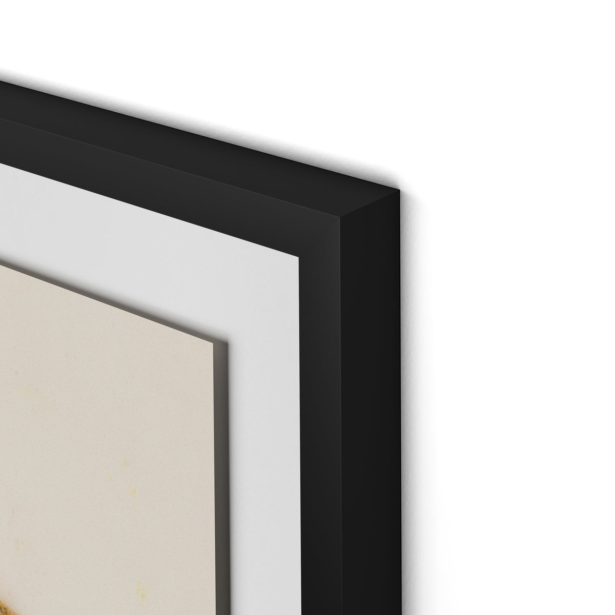 Pink Alpine Flax Framed Paper / 24 x 32 in / Black