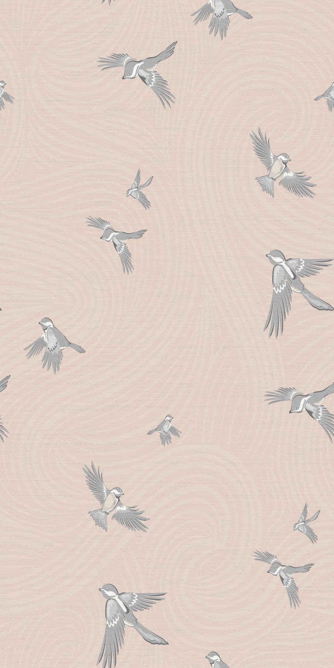 Image of Chickadee Birds in Blush Wallpaper