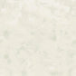 Image of Earthy Texture in Bone Wallpaper