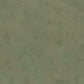 Image of Earthy Texture in Lichen Wallpaper