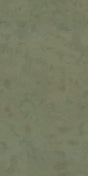 Lichen -- 7E806A