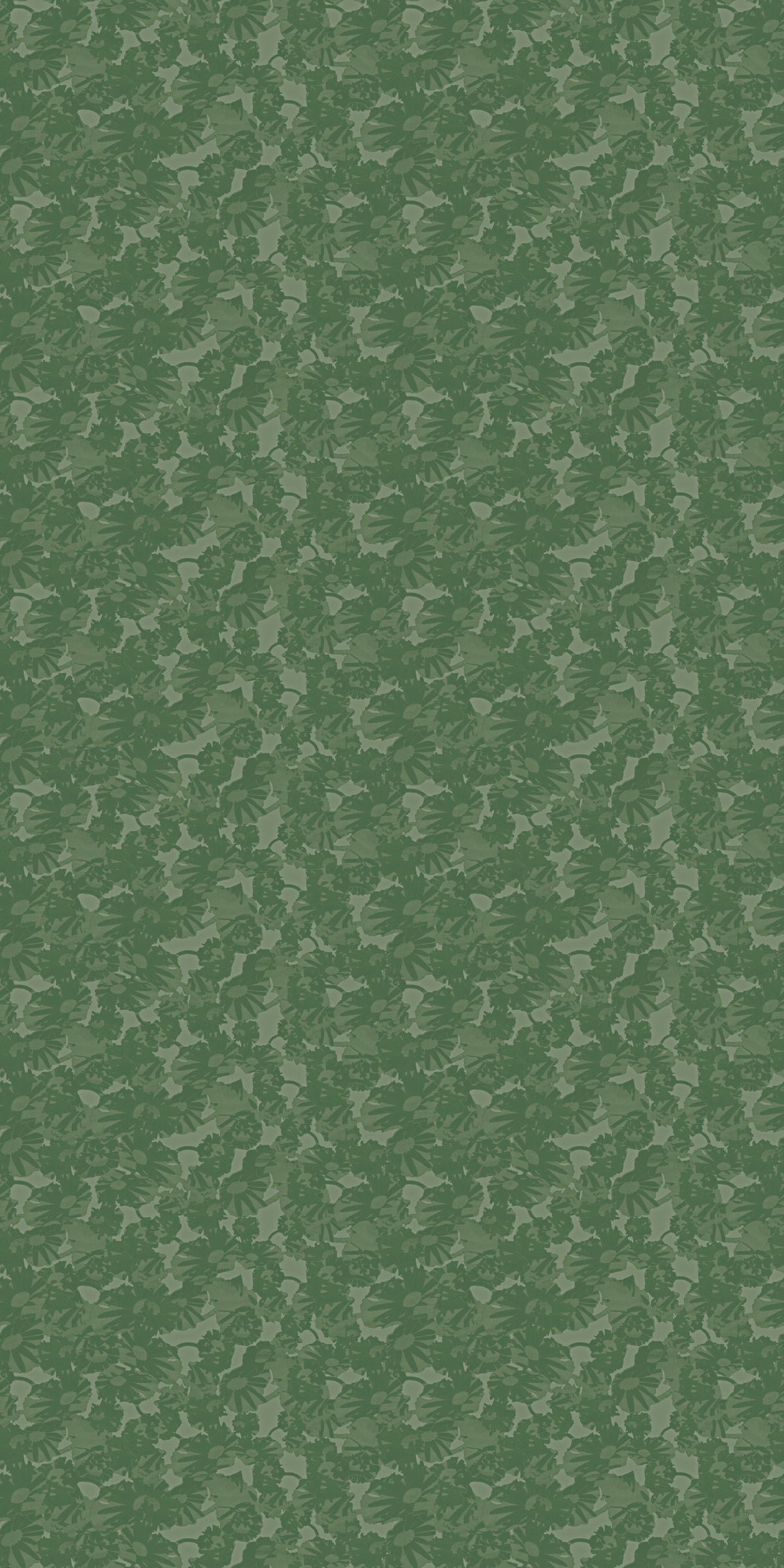 Flora Wallpaper in Forest