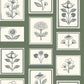 Image of Framed Flowers in Forest Wallpaper