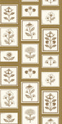 Ochre -- 96814D