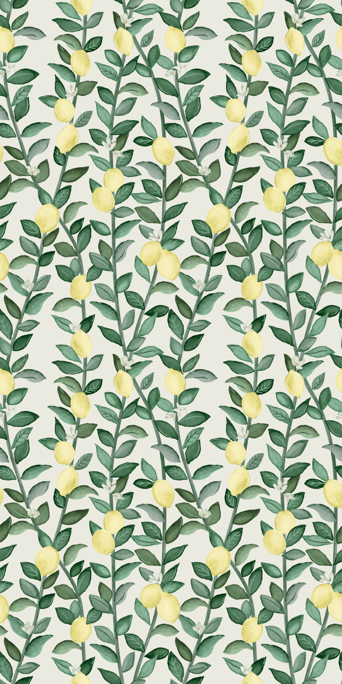 Lemons in Daytime Wallpaper