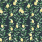 Image of Lemons in Nighttime wallpaper