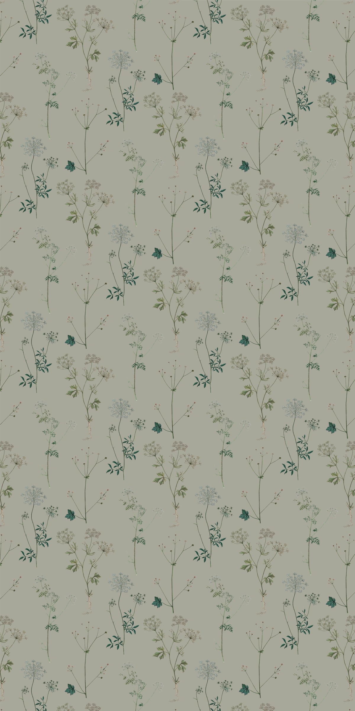 Image of Lace in Sage Wallpaper