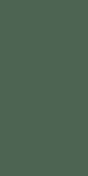 Pine -- 526353