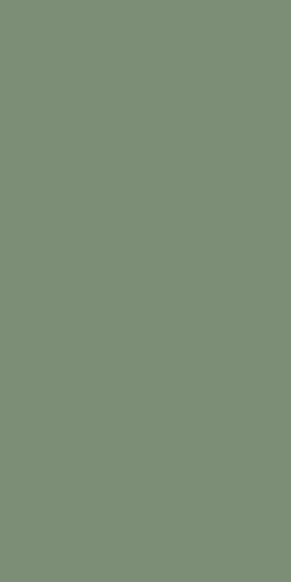 Image of Sage Green in Sage Green Wallpaper