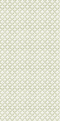 Light Green -- C8C9A6