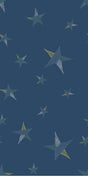 Dark Blue/Multi -- 2F4764