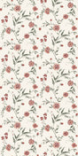 Coral Bloom -- 8A6563