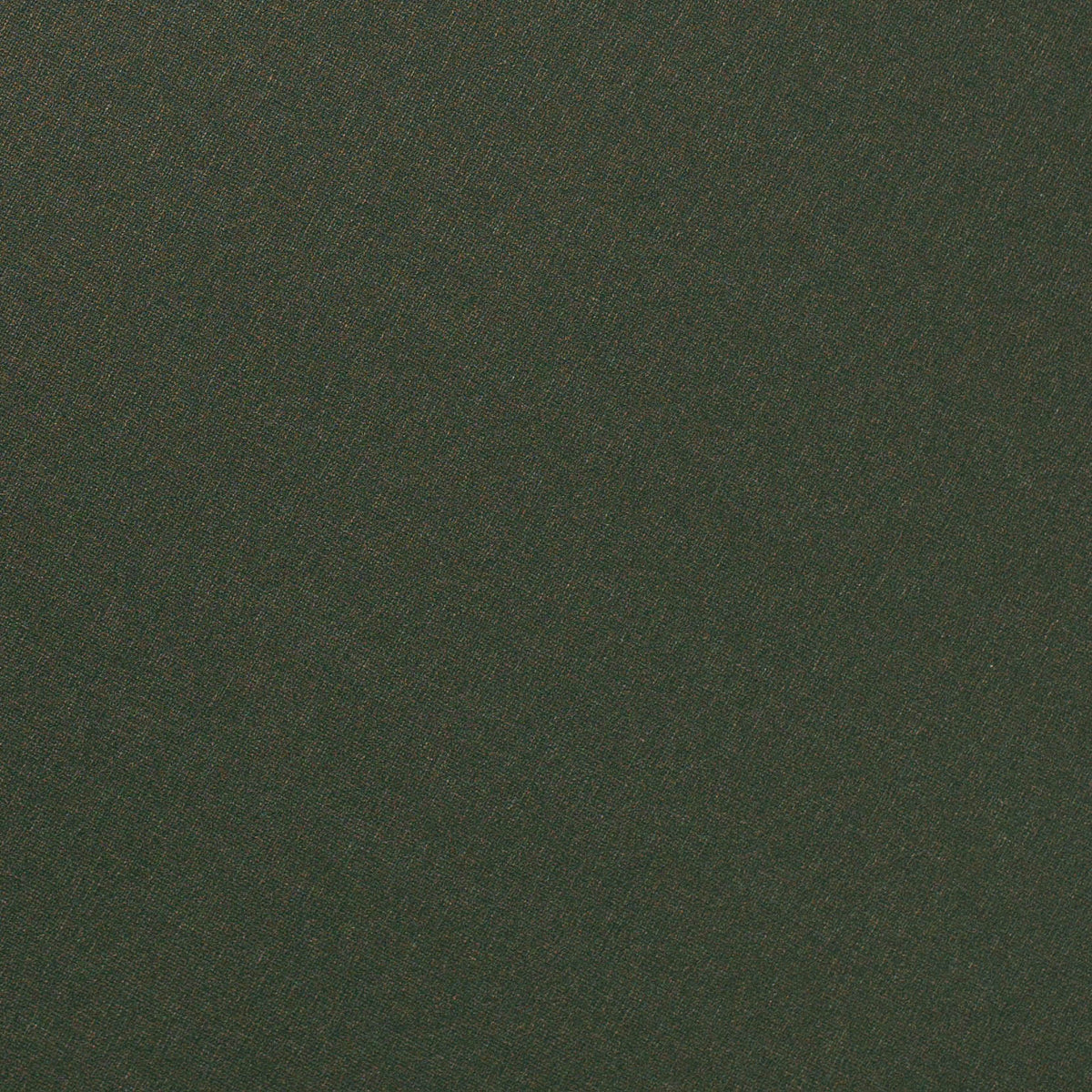 Image of Pine in Pine Wallpaper