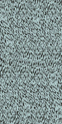 Charcoal -- 272A23