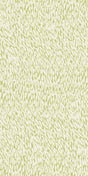 Green -- C3C983