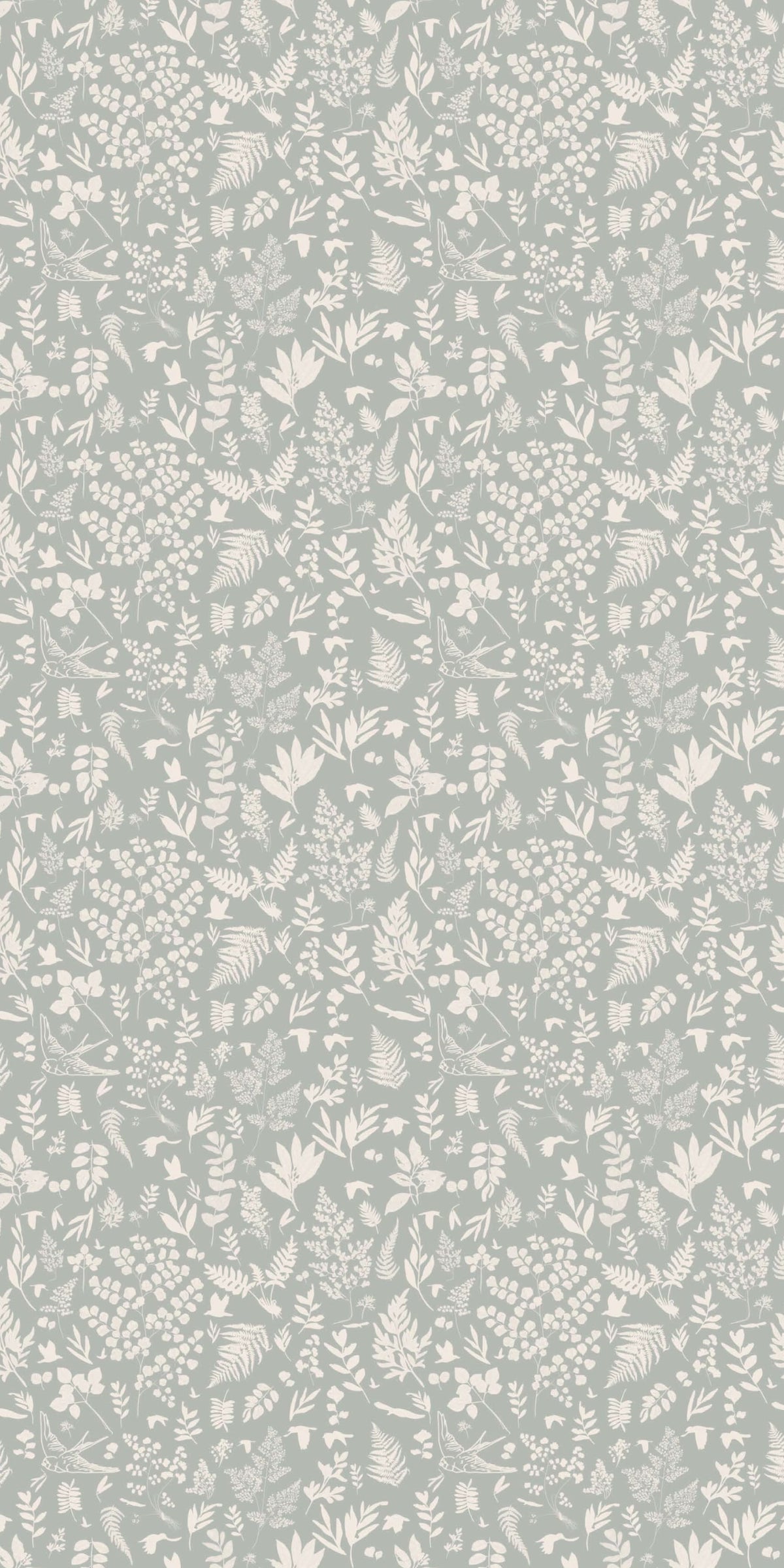 Image of Fern in Powder Wallpaper