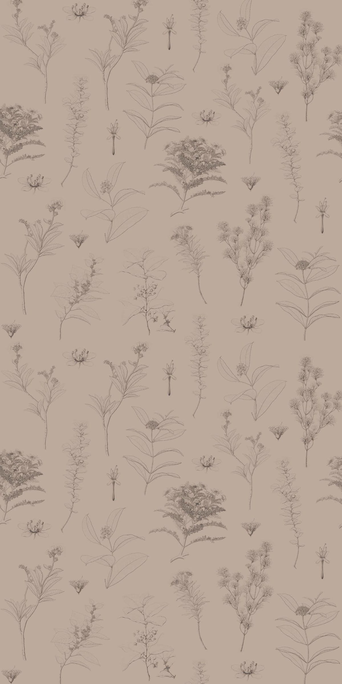 Image of Gather in Mushroom Wallpaper