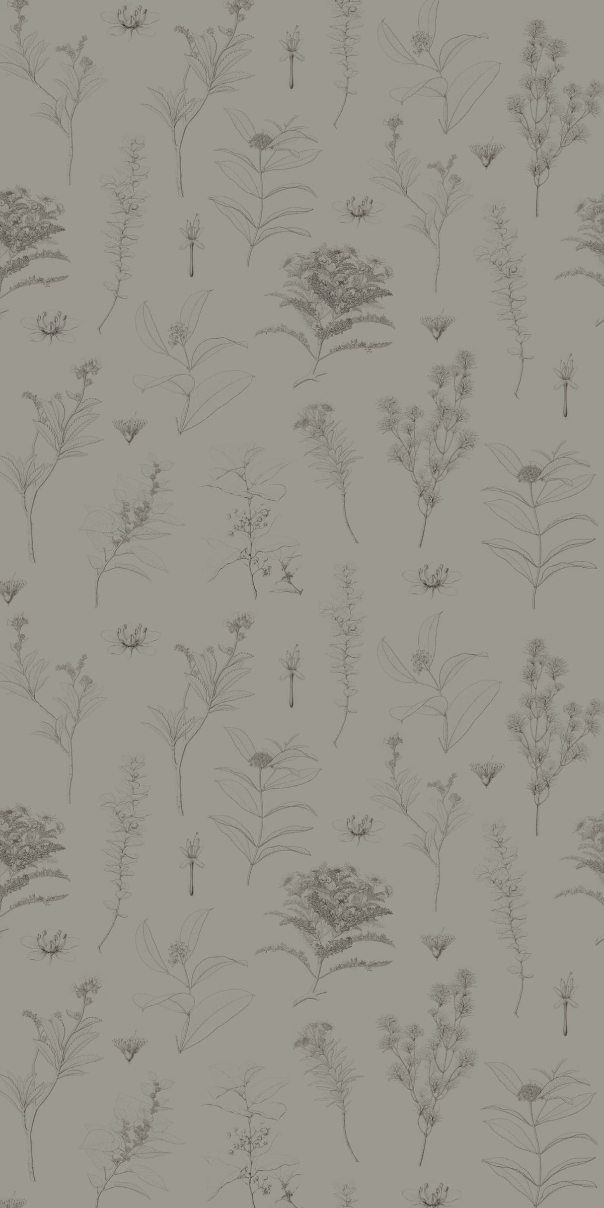 Image of Gather in Sage Wallpaper