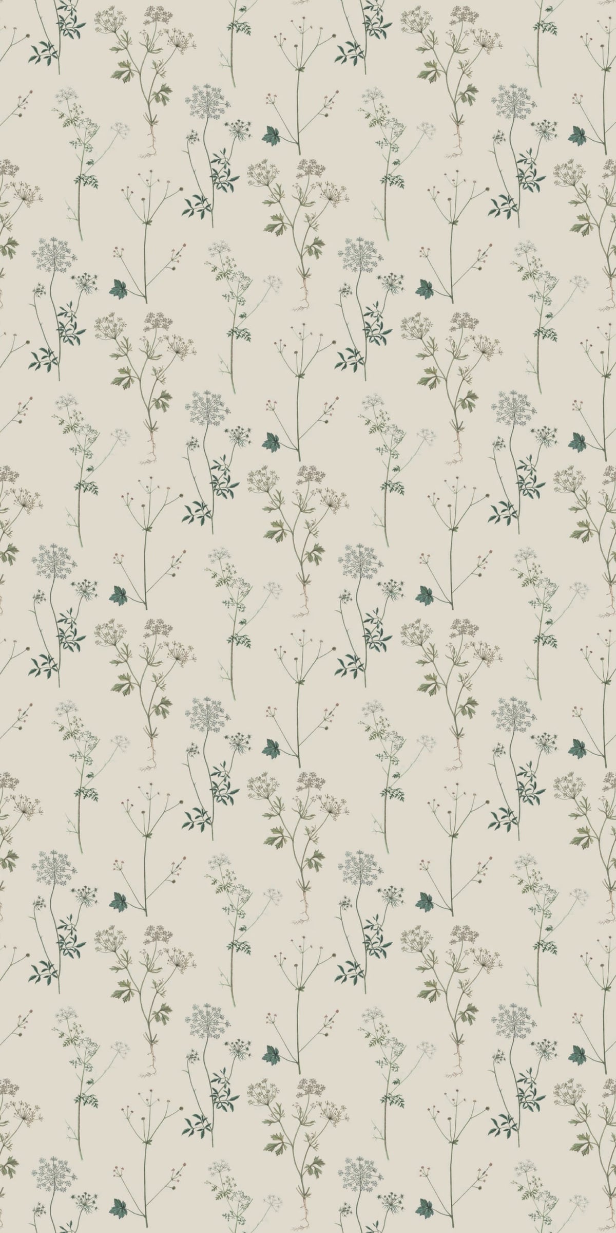 Image of Lace in Cream Wallpaper