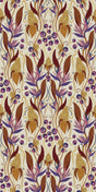 Violet -- 53427a