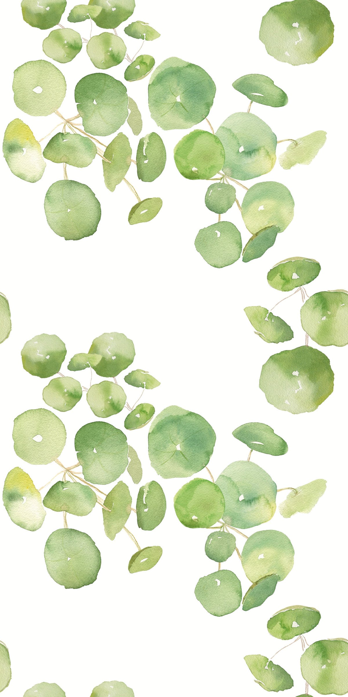 Image of Spring Leaves in White wallpaper