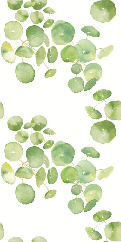 Image of Spring Leaves in White wallpaper
