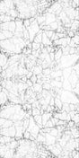 Grey -- b4b4b4