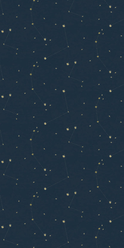 Image of Constellations in Navy wallpaper