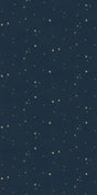 Navy -- 1D2F3E